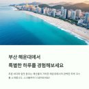 푸른바다찜탕(해운대점) | 부산 해운대에서 걷고, 먹고, 힐링하다: 바다와 해산물의 하루