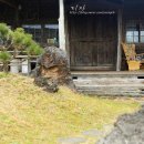 포토갤러리자연사랑 미술관 이미지