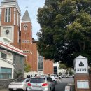 노을숲제주 | [제주 2박3일] Day 2 - 미풍해장국, 샤이니숲길, 제동목장, 비밀의숲, 카페 안도르, 어멍이해녀