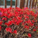 한양정형외과내과의원 이미지