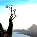 환상의섬 이미지