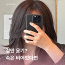 막비언 | 목동 스타일라뷰 하오니코 5단계 클리닉, 속 비어있던 머릿결 1회 변화 후기