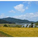 양지저수지 이미지