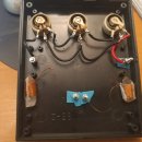 라디오닉스 이미지