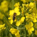 (주)계림조경자재 이미지