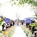 서구-01-79 이미지