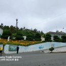 증도면보건지소 Daum카페