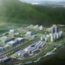 약선생약 이미지