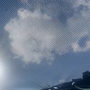 산과 벗 캠핑장 | 가평 목동 가든 캠핑장 후기