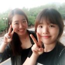 사이유지 네이버블로그