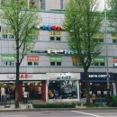 수년복싱체육관 이미지