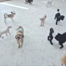 개스트룸 이미지