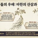 우나라 네이버블로그