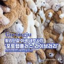 (주)플러스랩에스 | 경주 황리단길 사진관 포토랩플러스 라이브러리 수족관 컨셉 인생네컷