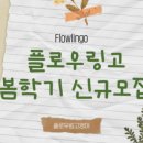 플로우링고영어