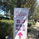 자라섬째즈길 | 가평 자라섬 꽃 페스타 방문기｜가을꽃 구경하고 중도마켓까지 알차게!