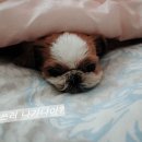우리카인테리어