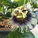 모리폴리 이미지