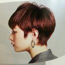 에뜨르보 이미지