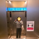 세븐일레븐 서평택점 | 위시 보러 간 김에 후쿠오카 여행