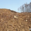 무주읍225 이미지