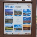 평택-평택-8 이미지