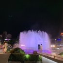 제18회 광주FINA세계수영선수권대회 성공기원 2019 아시아컬처마켓 키즈데이 | Dive into peace! 광주 세계 수영선수권 대회 FINA 현장으로 빠져보다!