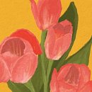 피부관리사 (주간) 이미지