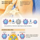 [재미있는 과학] 바이러스 대신 '단백질 설계도' 주입… 변이 대처 빠르대요 이미지