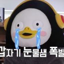 이호동물병원 이미지