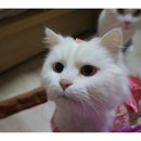 윈치과병원 이미지