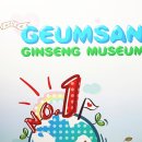 상도관 | 금산 인삼관