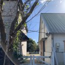 순천만자연드림목장 | 드림아트스페이스 서울 근교 제주도 같은 아기랑 갈만한곳 목장 체험