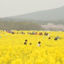 축산1리 마을회관 티스토리