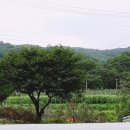 애플팜조인