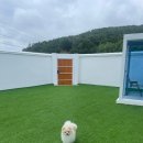 뽀미랑 | 감포 해수욕장 애견 독채 풀빌라 ‘플러피독채 풀빌라’ │ 뽀미랑 즐긴 프라이빗 여행 내돈내산 후기