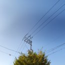 전지 작업
