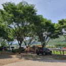 단양농협 대강지점 이미지