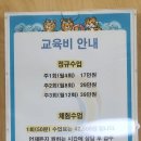 국가대표어린이수영클럽(마포) 이미지