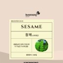 예안슈퍼