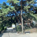 아라쉼 펜션 이미지