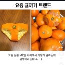 네일윤윤 | [규슈온나] 일본 사는 여자의 무인양품 추천템...을 곁들인