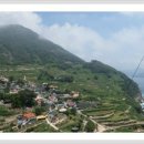 최여사