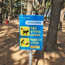 송도 솔밭 유아숲체험원 이미지