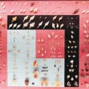 세계조개박물관 이미지