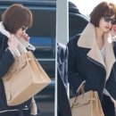 아이비젠 이미지