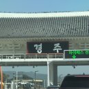 도니마니김치찜 이미지