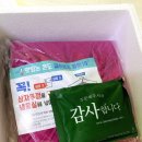 대왕떡집 이미지