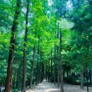 명달근린공원 이미지