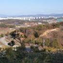 새터농장 Daum카페